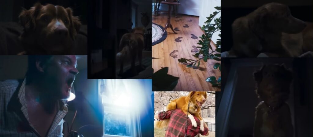 Dark Discussions Podcast – Episode 691 – GOOD BOY (2025)